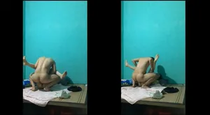 Dập nát bướm ghệ cũ